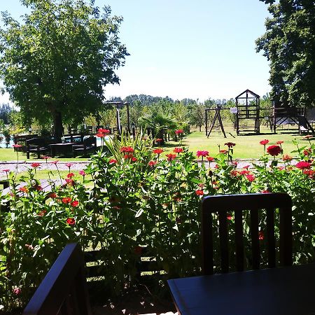 Finca Los Almendros Hotel Tunuyán Екстериор снимка