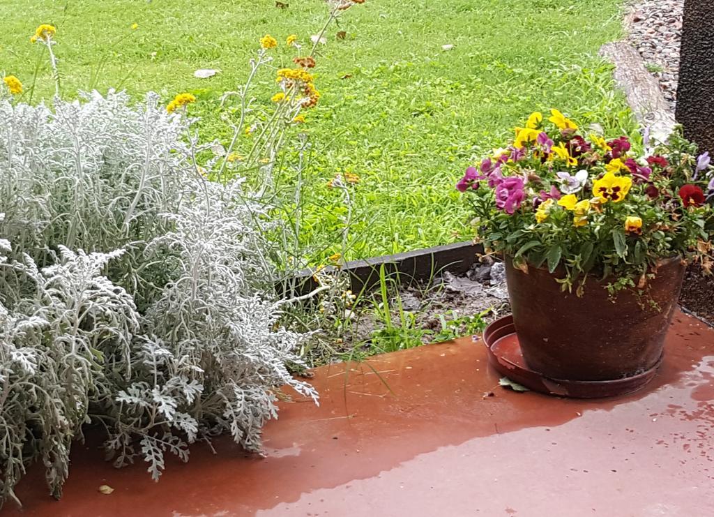 Finca Los Almendros Hotel Tunuyán Екстериор снимка