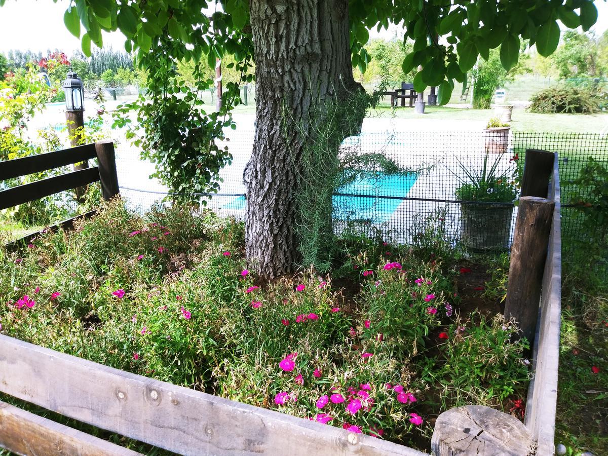 Finca Los Almendros Hotel Tunuyán Екстериор снимка