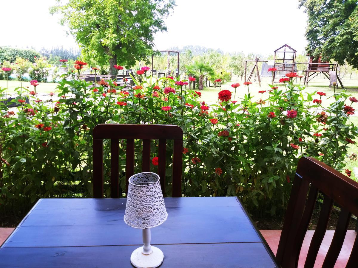 Finca Los Almendros Hotel Tunuyán Екстериор снимка