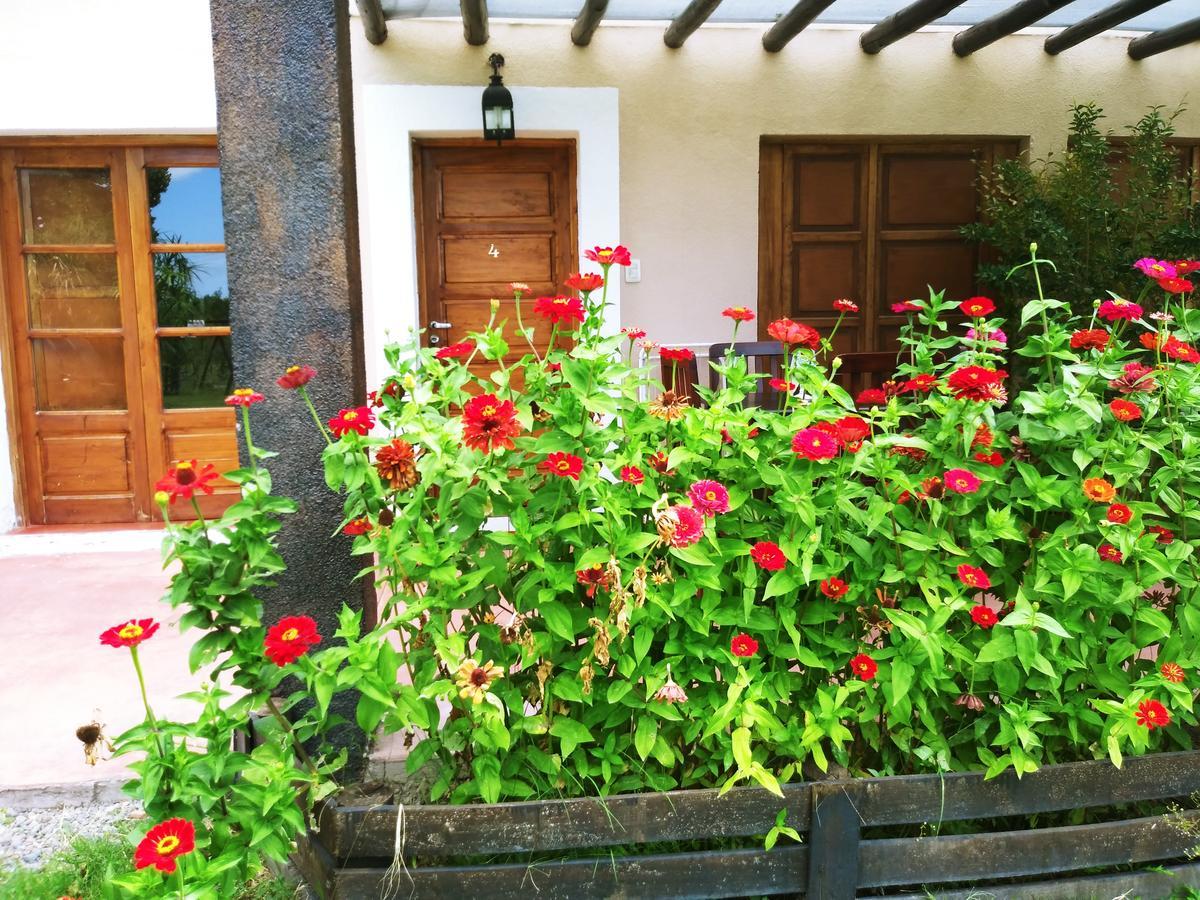 Finca Los Almendros Hotel Tunuyán Екстериор снимка